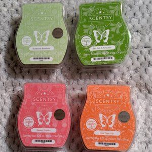 Scentsy Summer Bundle.